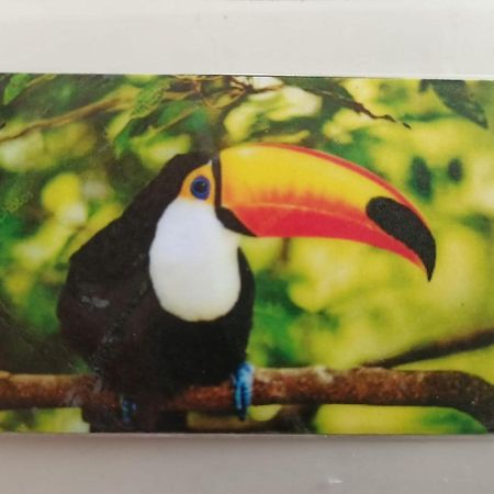 Tucan Playa del Carmen Exterior photo