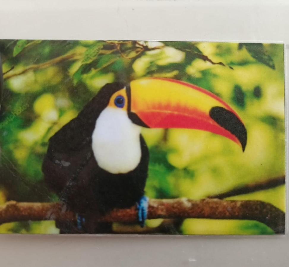 Tucan Playa del Carmen Exterior photo